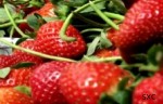 fruta fruta