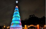 mensagem arvore natal ibirapuera