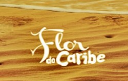 flor do caribe resumo novela capitulo episodio rede globo proximo