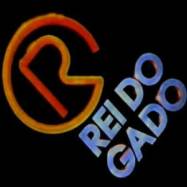 o_rei_do_gado_resumo_novela_globo